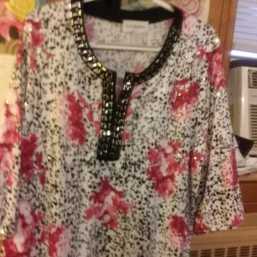 C. D. Daniels blouse- never worn